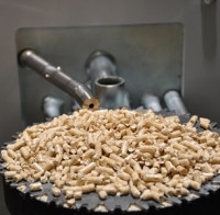 Řadu domácností zaskočila zima. Pelety teď dokupují za vyšší ceny 